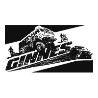 Ginnes