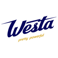 Аккумулятор автомобильный Westa Truck Heavy Duty  - 120 А/ч (SMF 31-1000S) шпилька+конус, для американских грузовиков [+-]